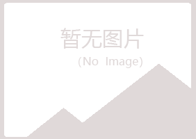 福田区残缺能源有限公司